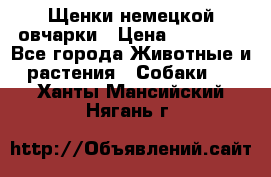 Щенки немецкой овчарки › Цена ­ 30 000 - Все города Животные и растения » Собаки   . Ханты-Мансийский,Нягань г.